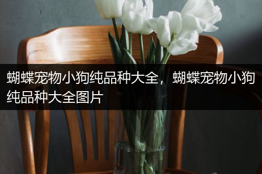 蝴蝶宠物小狗纯品种大全，蝴蝶宠物小狗纯品种大全图片