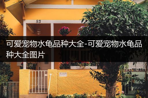 可爱宠物水龟品种大全-可爱宠物水龟品种大全图片