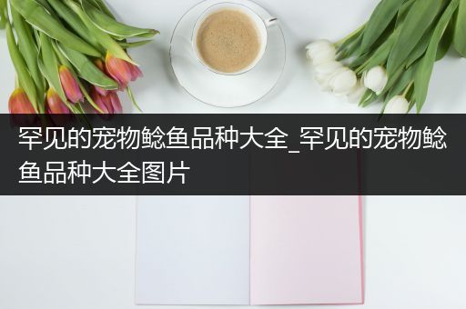 罕见的宠物鲶鱼品种大全_罕见的宠物鲶鱼品种大全图片