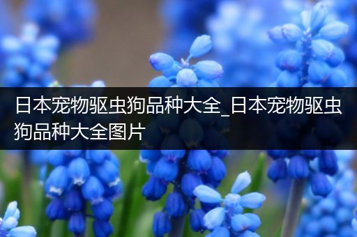 日本宠物驱虫狗品种大全_日本宠物驱虫狗品种大全图片