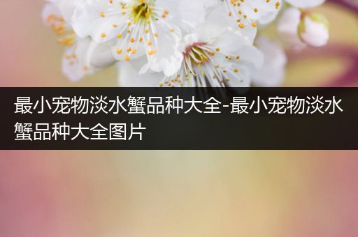 最小宠物淡水蟹品种大全-最小宠物淡水蟹品种大全图片