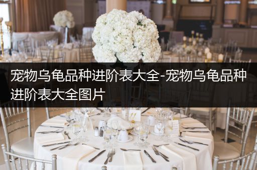 宠物乌龟品种进阶表大全-宠物乌龟品种进阶表大全图片
