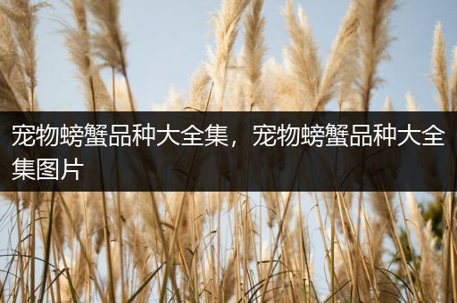 宠物螃蟹品种大全集，宠物螃蟹品种大全集图片