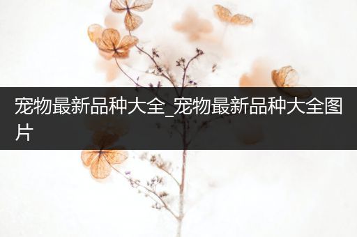 宠物最新品种大全_宠物最新品种大全图片