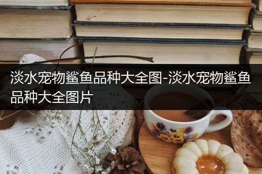 淡水宠物鲨鱼品种大全图-淡水宠物鲨鱼品种大全图片