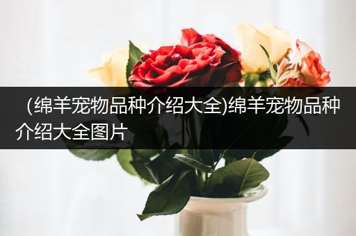 （绵羊宠物品种介绍大全)绵羊宠物品种介绍大全图片