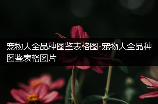 宠物大全品种图鉴表格图-宠物大全品种图鉴表格图片