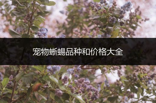 宠物蜥蜴品种和价格大全