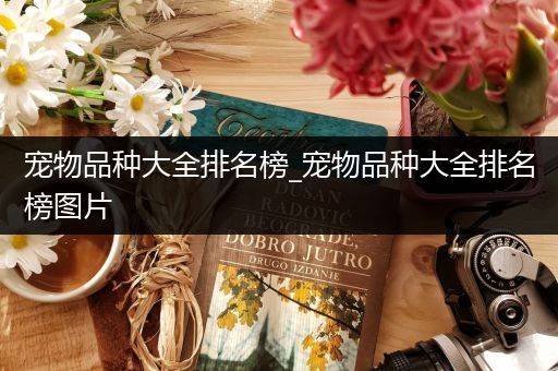 宠物品种大全排名榜_宠物品种大全排名榜图片