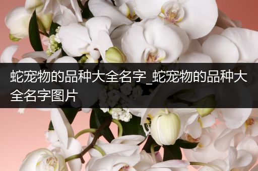 蛇宠物的品种大全名字_蛇宠物的品种大全名字图片