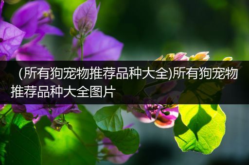 （所有狗宠物推荐品种大全)所有狗宠物推荐品种大全图片