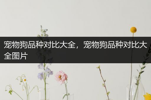 宠物狗品种对比大全，宠物狗品种对比大全图片