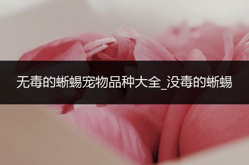 无毒的蜥蜴宠物品种大全_没毒的蜥蜴