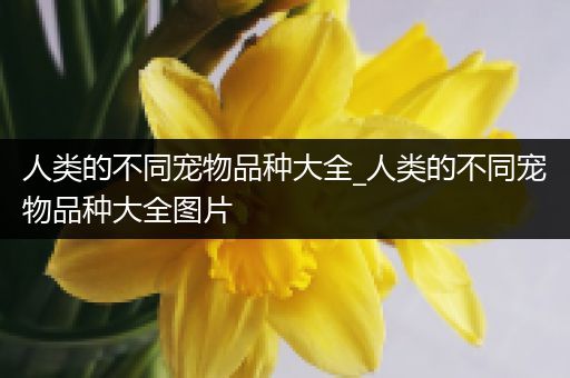 人类的不同宠物品种大全_人类的不同宠物品种大全图片