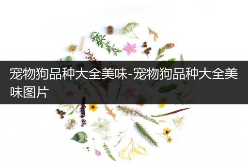 宠物狗品种大全美味-宠物狗品种大全美味图片