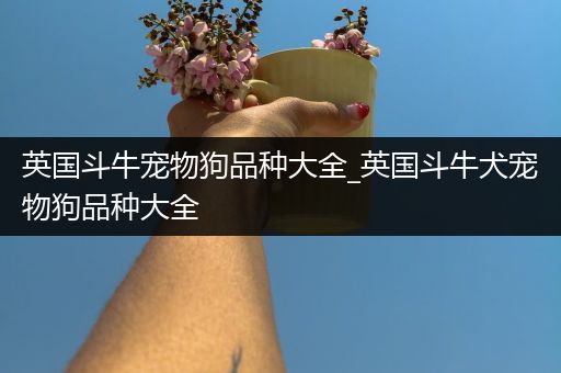 英国斗牛宠物狗品种大全_英国斗牛犬宠物狗品种大全