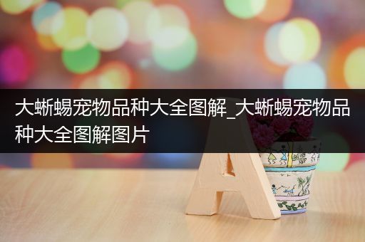 大蜥蜴宠物品种大全图解_大蜥蜴宠物品种大全图解图片