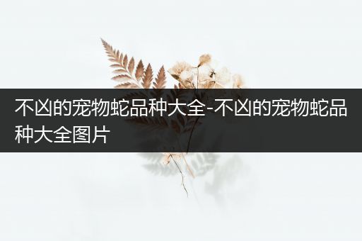 不凶的宠物蛇品种大全-不凶的宠物蛇品种大全图片