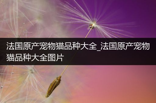 法国原产宠物猫品种大全_法国原产宠物猫品种大全图片