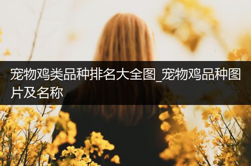 宠物鸡类品种排名大全图_宠物鸡品种图片及名称