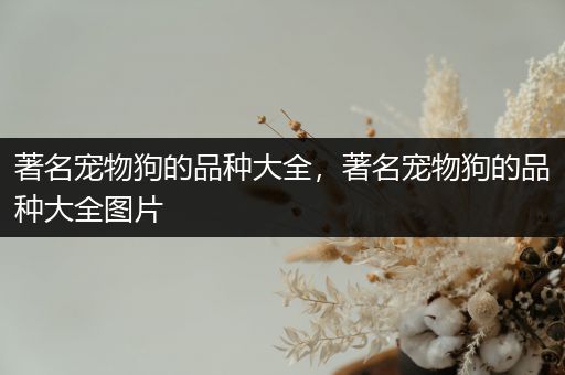 著名宠物狗的品种大全，著名宠物狗的品种大全图片