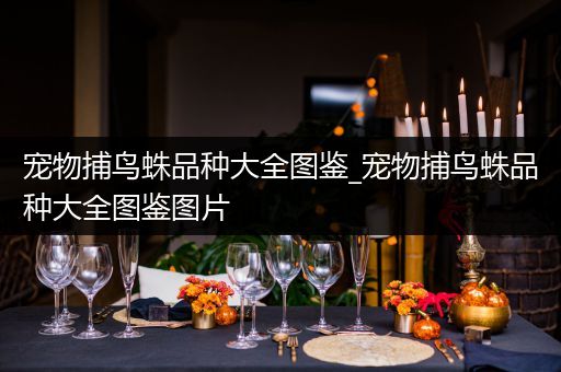宠物捕鸟蛛品种大全图鉴_宠物捕鸟蛛品种大全图鉴图片