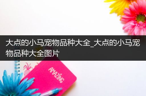 大点的小马宠物品种大全_大点的小马宠物品种大全图片