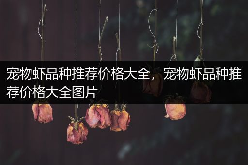 宠物虾品种推荐价格大全，宠物虾品种推荐价格大全图片