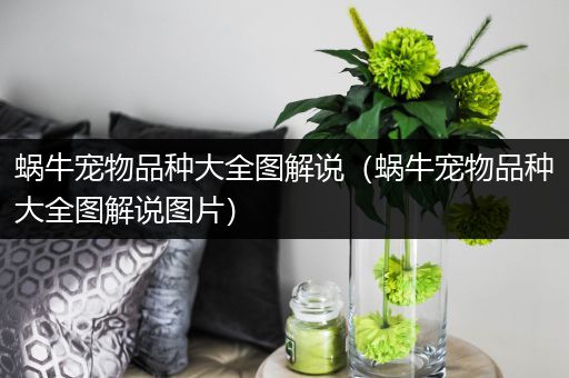 蜗牛宠物品种大全图解说（蜗牛宠物品种大全图解说图片）