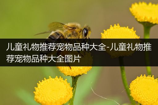 儿童礼物推荐宠物品种大全-儿童礼物推荐宠物品种大全图片