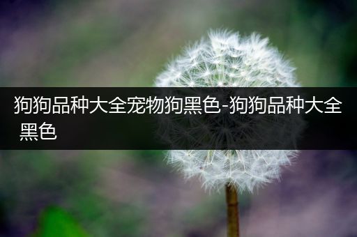 狗狗品种大全宠物狗黑色-狗狗品种大全 黑色