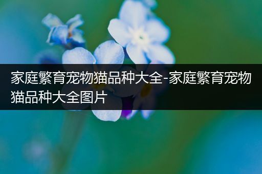 家庭繁育宠物猫品种大全-家庭繁育宠物猫品种大全图片