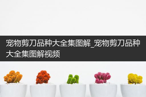 宠物剪刀品种大全集图解_宠物剪刀品种大全集图解视频