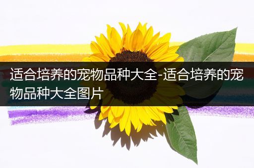 适合培养的宠物品种大全-适合培养的宠物品种大全图片