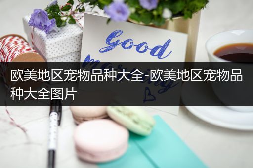 欧美地区宠物品种大全-欧美地区宠物品种大全图片