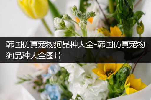 韩国仿真宠物狗品种大全-韩国仿真宠物狗品种大全图片