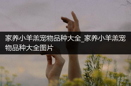 家养小羊羔宠物品种大全_家养小羊羔宠物品种大全图片