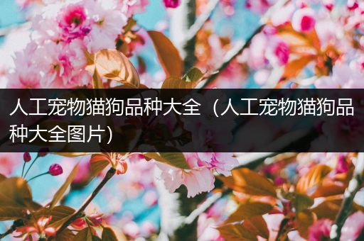 人工宠物猫狗品种大全（人工宠物猫狗品种大全图片）