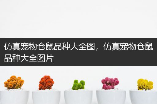 仿真宠物仓鼠品种大全图，仿真宠物仓鼠品种大全图片