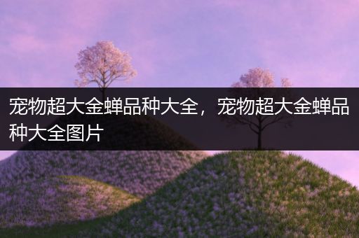 宠物超大金蝉品种大全，宠物超大金蝉品种大全图片