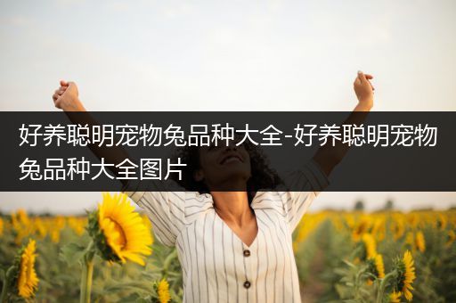 好养聪明宠物兔品种大全-好养聪明宠物兔品种大全图片