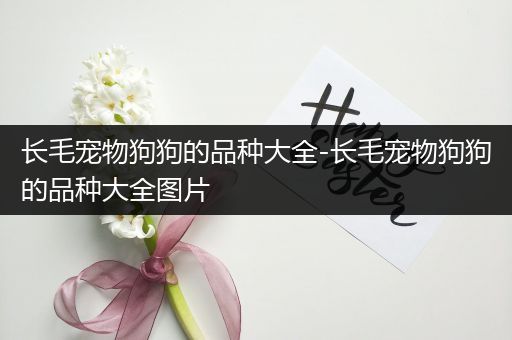 长毛宠物狗狗的品种大全-长毛宠物狗狗的品种大全图片