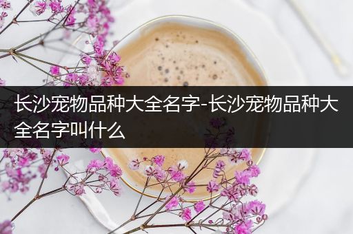 长沙宠物品种大全名字-长沙宠物品种大全名字叫什么