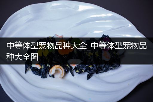 中等体型宠物品种大全_中等体型宠物品种大全图