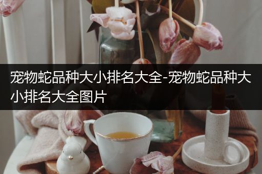 宠物蛇品种大小排名大全-宠物蛇品种大小排名大全图片