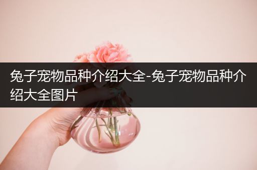 兔子宠物品种介绍大全-兔子宠物品种介绍大全图片