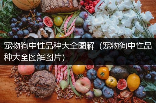 宠物狗中性品种大全图解（宠物狗中性品种大全图解图片）