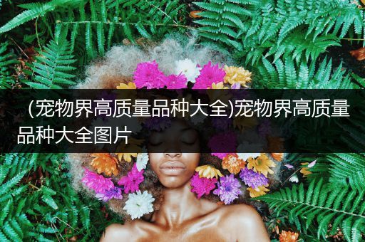 （宠物界高质量品种大全)宠物界高质量品种大全图片