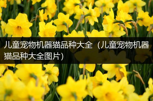 儿童宠物机器猫品种大全（儿童宠物机器猫品种大全图片）