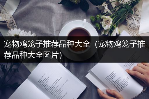 宠物鸡笼子推荐品种大全（宠物鸡笼子推荐品种大全图片）